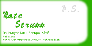 mate strupp business card